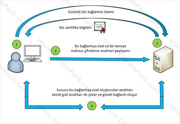 Ssl схема работы