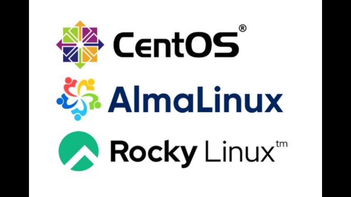 Rocky Linux VS Alma Linux, Kurulum ve Karşılaştırma ÇözümPark