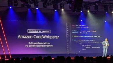 Amazon CodeWhisperer lansmanı