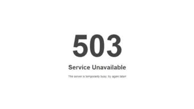 503 Service Unavailable Hatası