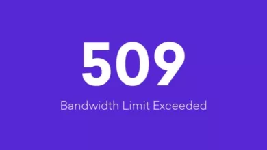 509 Bandwidth Limit Exceeded hatası nedir