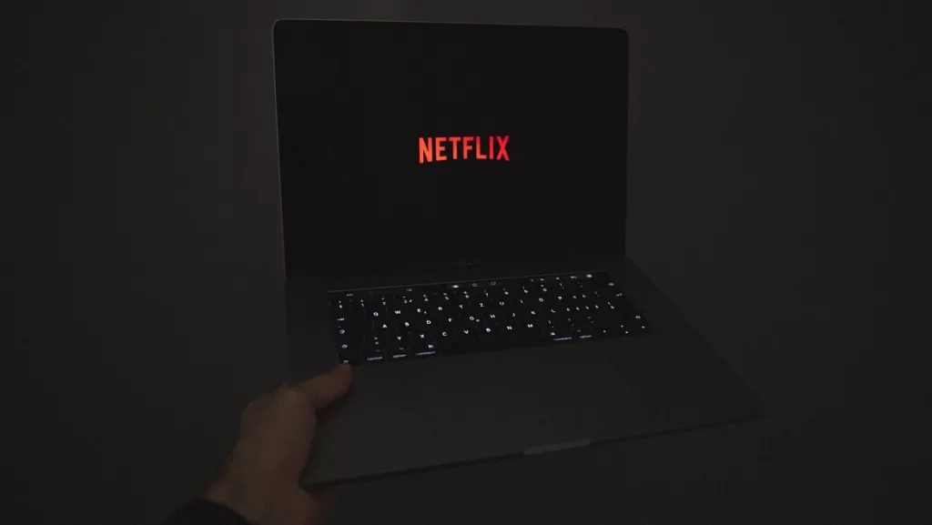 Netflix marka görseli