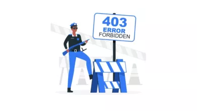 403 hatası