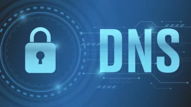 dns güvenlik araçları