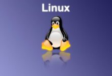 Intel'in Linux Performansının Tek Satır Kodla Yüzde 40 Arttığı Görüldü!