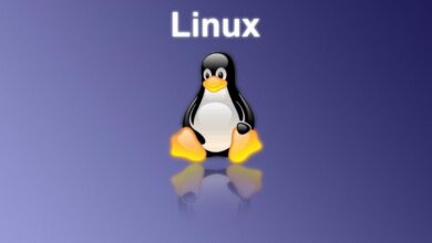 Intel'in Linux Performansının Tek Satır Kodla Yüzde 40 Arttığı Görüldü!