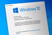 Microsoft, Windows 10 Uygulama Güncelleme Sorununu Çözdü!