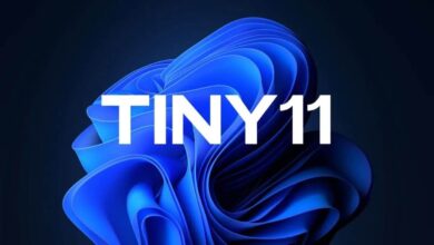 Windows 11 24H2’yi Minimal Hale Getirin! tiny11 Core Builder ile Tanışın