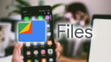 Google Files Uygulaması, Gelen Güncelleme İle PDF Yönetimini Daha Kolay Hale Getirdi