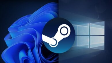 Windows 11, Steam Üzerinde Tüm Zamanların En Yüksek Kullanıcı Oranına Ulaştı