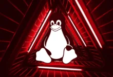 Yeni Pumakit Linux Rootkit Zararlı Yazılımı Tespit Edildi