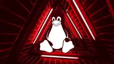 Yeni Pumakit Linux Rootkit Zararlı Yazılımı Tespit Edildi