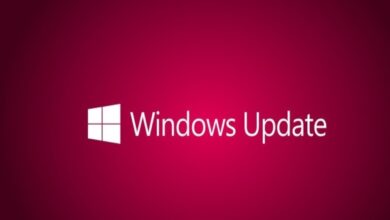 Microsoft, Başarısız Windows 11/10 Güncelleştirmesi İçin Resmi Kurtarma Kılavuzu Yayınladı