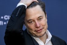 Elon Musk, Almanya Seçimlerine Müdahil mi Oluyor?