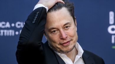 Elon Musk, Almanya Seçimlerine Müdahil mi Oluyor?