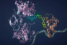 Yapay Zeka ile Doğanın 500 Milyon Yılda Evrimleştireceği Parlak Protein Geliştirildi