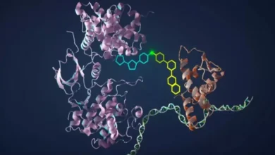 Yapay Zeka ile Doğanın 500 Milyon Yılda Evrimleştireceği Parlak Protein Geliştirildi