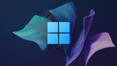 Açık Kaynaklı WinScript Uygulaması Windows 10 ve 11’de Gereksiz Özellikleri Kaldırıyor