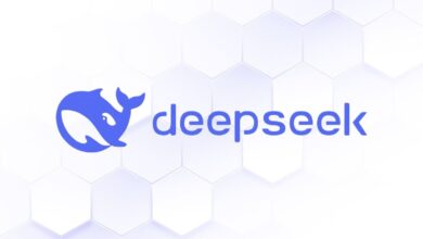 deepseek nedir