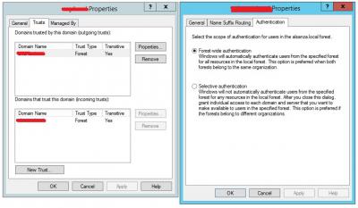 trust V Domain Server