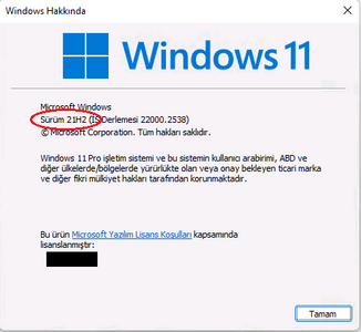 Win11