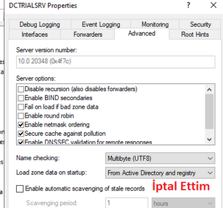 dns srv aging properties 2